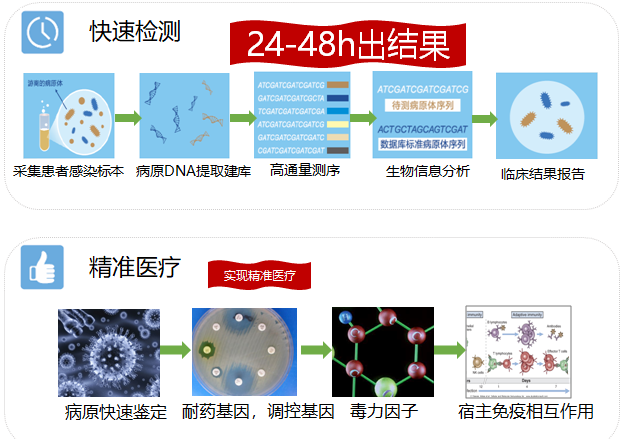 PMseq病原快检