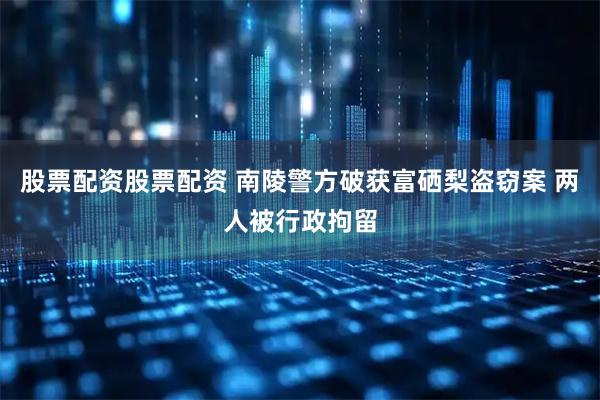 股票配资股票配资 南陵警方破获富硒梨盗窃案 两人被行政拘留