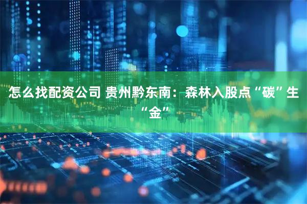 怎么找配资公司 贵州黔东南：森林入股点“碳”生“金”