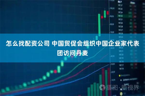 怎么找配资公司 中国贸促会组织中国企业家代表团访问丹麦