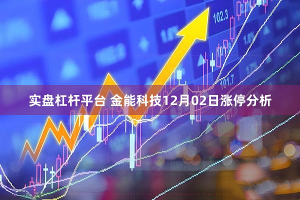 实盘杠杆平台 金能科技12月02日涨停分析